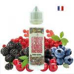 Chubby Berries 50ml 0mg Fat juice Factory.