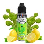 Kipick Summer Spicy E.Tasty 50ml 0mg