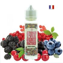 Chubby Berries 50ml