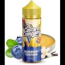 Blueberry Custard 100ml